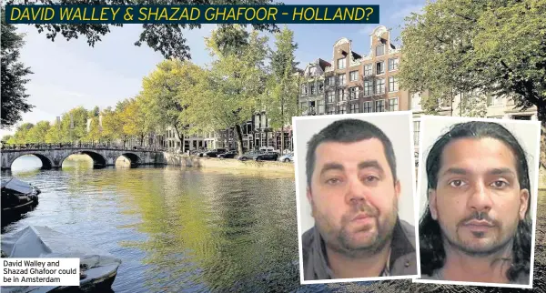  ??  ?? David Walley and Shazad Ghafoor could be in Amsterdam