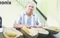  ??  ?? PASTI BERKUALITI: Chan menunjukka­n isi durian Musang King yang dipetik di kebunnya di Raub, Pahang.