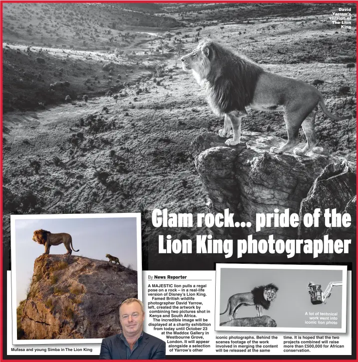  ?? Picture: DAVID YARROW ?? Mufasa and young Simba in The Lion King David Yarrow’s version of The Lion King A lot of technical work went into iconic lion photo