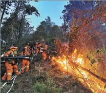  ?? LU YAOQIANG / FOR CHINA DAILY ?? Firefighte­rs combat a forest fire in Xide county, Liangshan, Sichuan province, on Friday.