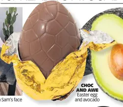  ??  ?? CHOC AND AWE Easter egg and avocado
