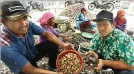  ?? BOY SLAMET/JAWA POS ?? HARGA STABIL: Fadloli (kanan) bersama Sekretaris KUB Sari Laut Munawar menunjukka­n kerang bulu di sentra pengupasan kerang Desa Banjar Kemuning, Sedati, kemarin.