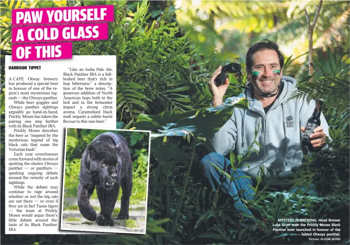  ?? Picture: ALISON WYND ?? MYSTERY IS BREWING: Head Brewer Luke Scott with the Prickly Moses Black Panther beer launched in honour of the fabled Otways panther.