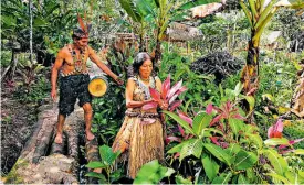  ??  ?? • Los esposos Reinaldo Chango y Yesenia Chambo recolectan flores y plantas de los senderos para adornar las cabañas.