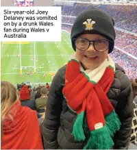  ?? ?? Six-year-old Joey Delaney was vomited on by a drunk Wales fan during Wales v Australia