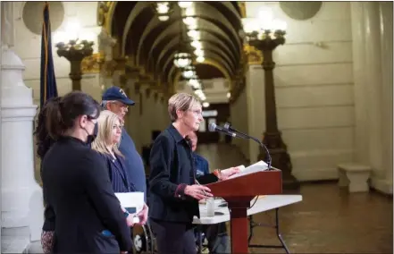  ?? SUBMITTED PHOTO ?? State Rep. Dianne Herrin speaks up for residents whose water was fouled, at the state Capitol.