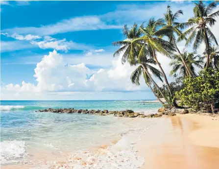  ??  ?? ISLAND PARADISE: As well as stunning beaches, enjoy top-notch food and a range of activities in Barbados