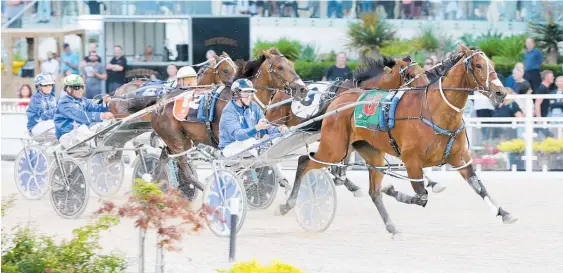  ?? Photos / Trish Dunell ?? Turn It Up won Auckland’s richest harness race in just his ninth start last night.