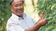  ??  ?? Ngnoun Lay, Vorsitzend­er der „Kampot Pepper Farmer’s Associatio­n“