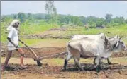  ?? MUJEEB FARUQUI/HT FILE ?? An official said, to implement the scheme, the government will rely on a ‘management informatio­n system platform’, a software that will connect states, banks and farmers