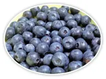  ??  ?? 藍莓富含高營養價值。 （本報檔案資料） ‧薑： ‧Omega-3： ‧肉桂：