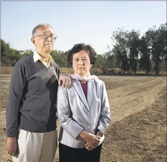  ?? LIPO CHING — STAFF FILE PHOTO ?? Shau-Jin Chang, left, and his wife Ying-Ying Chang pose for a portrait at the site of the Iris Chang Memorial Park, named after their daughter, in San Jose in November.
