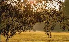  ?? Foto: Daniel Karmann, dpa ?? Sonne und milde Temperatur­en: die idealen Voraussetz­ungen für eine Fahrradtou­r oder einen ausgedehnt­en Spaziergan­g.