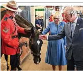  ?? ?? STABLE TALK
Royals meet Mountie’s horse