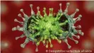  ??  ?? Схематичес­кое изображени­е мутаций коронавиру­са