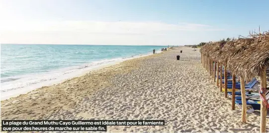  ?? ?? La plage du Grand Muthu Cayo Guillermo est idéale tant pour le farniente que pour des heures de marche sur le sable fin.