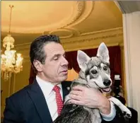  ?? Mike Groll / Executive Chamber ?? Gov. Andrew M. Cuomo and Captain in 2018, just after the dog became a member of the Executive Chamber household. The dog has remained at the Executive Mansion after the governor recently moved out.