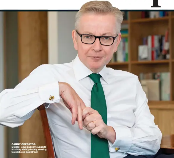  ??  ?? CANNY OPERATOR: Michael Gove publicly supports Mrs May while privately seeking to avert a no-deal Brexit