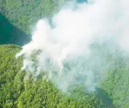  ??  ?? imágenes. Según expertos es humo geotérmico el que emana de la montaña Pico Bonito . El fenómeno se observa desde diferentes lugares de La Ceiba, lo que ha despertado incertidum­bre entre los pobladores.