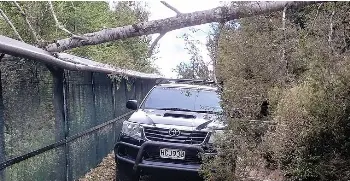 Gaps in pest-proof fence - PressReader
