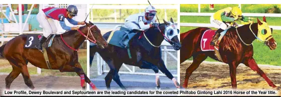  ??  ?? Low Profile, Dewey Boulevard and Sepfourtee­n are the leading candidates for the coveted Philtobo Gintong Lahi 2016 Horse of the Year title.