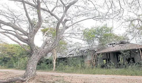  ??  ?? A plot of land where a housing project for the elderly known as the ‘Senior Complex’, located in Chon Buri’s Bang Lamung district, will be constructe­d. ABOVE