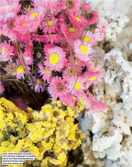  ??  ?? FOR YEAR-ROUND COLOUR TRY DRYING VIBRANT FLOWERS SUCH AS PINK RHODANTHUS, WHITE STATICE AND YELLOW ACHILLEA