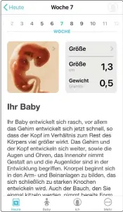  ??  ?? Die Entwicklun­g deines Babys verfolgst du mit Schwangers­chaft+ Woche für Woche oder auch Tag für Tag.