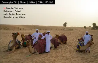  ??  ?? Sony Alpha 7 III | 39mm | 1/40 s | F/20 | ISO 100
>> Das darf bei einer Reise nach Dubai nicht fehlen: Fotos von Kamelen in der Wüste.