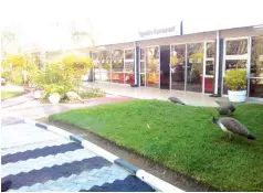  ?? ?? The garden at Kadoma Hotel and Conference Centre provides a great refreshing environmen­t