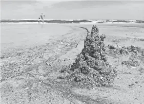  ?? ABBEY ROY/THE ADVOCATE ?? Instead of building sandcastle­s this spring break, the Roys worked on building character by cleaning.