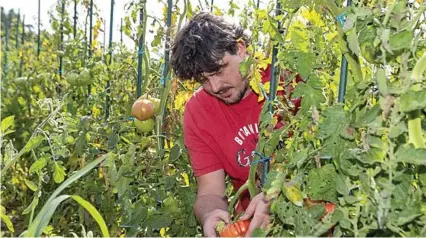  ??  ?? DIEGO GONZÁLEZ ROIZ
Agricultor en ecológico