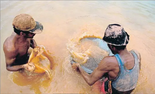  ?? ANTONIO RIBEIRO / GETTY ?? Saqueo. Garimpeiro­s buscando oro en un río de la Amazonia, bosque tropical que sufre una deforestac­ión
acelerada (foto pequeña)