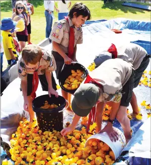  ?? Ryan Painter /The Signal ?? Boy Scouts from Troop 609 of Newhall collect the rubber ducks from the finish line at the 15th annual Rubber Ducky Festival at Bridgeport Park on Saturday.