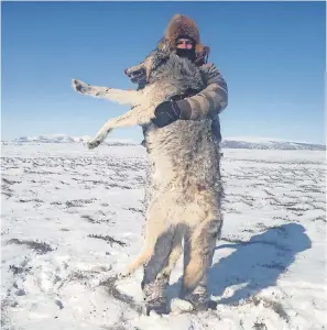  ??  ?? Cowboys rookie linebacker Leighton Vander Esch holds a wolf on one of his hunting trips.