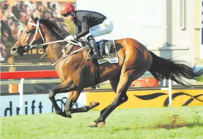  ?? Picture: JC Photograph­ics ?? IN THE ZONE. Monks Hood, ridden by Anthony Delpech, cruises to a 5.50-length victory in the R1-million Gauteng Guineas over 1600m at Turffontei­n on Saturday.