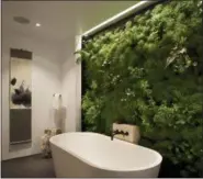  ?? PAUL DYER PHOTOGRAPH­Y — SIOL STUDIOS VIA AP ?? This photo taken in May 2013 shows a living garden bathroom wall at a private residence in San Francisco The wall garden was designed by San Francisco-based integral design studio Siol Studios.