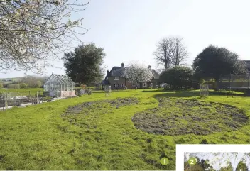  ??  ?? 1
1 The new beds Verity dug in winter in her Vale of Pewsey garden begin to grass over in April