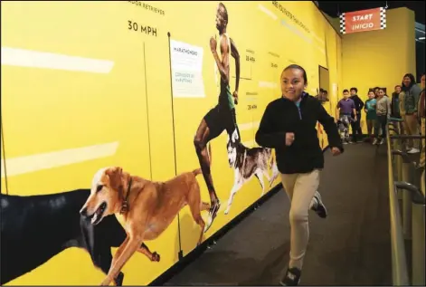  ?? Courtesy photo ?? The “Dogs! A Science Tail” exhibition lets guests see the world from a canine perspectiv­e.