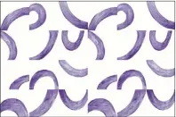  ?? AP PHOTO ?? This playful wallpaper pattern designed by Brett Beldock uses violet brushstrok­es on a white background.