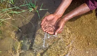 Bringing life back to a thirsty land | The Hindu (Kozhikode) | PressReader