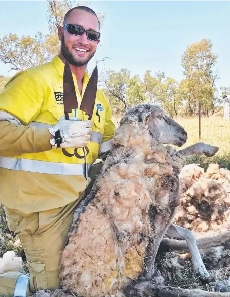  ??  ?? Ben Ridge with the pregnant ewe he saved while working in western Queensland.