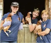  ??  ?? Volunteers with hens on their way to new homes