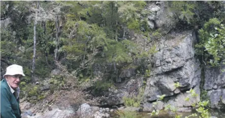  ?? SUPPLIED/ ROSS RAMSAY, RNZ ?? Geologist Chris Adams with Wangapeka sandstone, near Tākaka in northwest Nelson, containing evidence of Zealandia’s ancient origins.