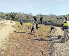  ??  ?? Los vecinos de Acedo trabajan en ‘vereda’ en Dérula.