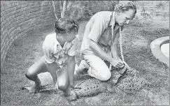  ?? JEHANGIR GAZDAR/GETTY IMAGES ?? ▪ Romulus Whitaker measuring a crocodile in August 1977.