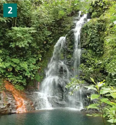  ?? ?? Cockscomb Basin Wildlife Sanctuary i Belize. Foto: Getty Images