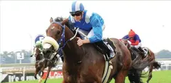 ??  ?? Mustaaqeem is one of eight horses nominated by trainer Mike de Kock for the R1-million Gauteng Guineas over 1 600m on the Turffontei­n Standside track on Saturday March 3.