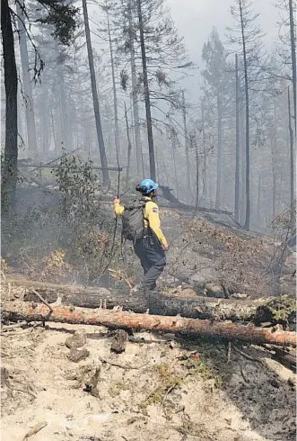  ?? PARKS CANADA ?? A Parks Canada firefighte­r walks through a fire- ravaged section of Glacier National Park on Monday. The Canadian firefighte­rs are south of the border to combat a wildfire that’s about 10 hectares in size. It started Friday afternoon on the slopes of...