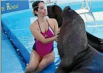  ??  ?? Former Miss Italy finalist Gessica Notaro is returning to her job as a sea lion trainer at an aquarium in Rimini.